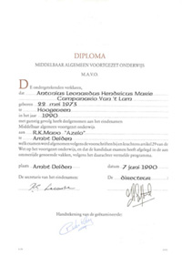 certification_mavo